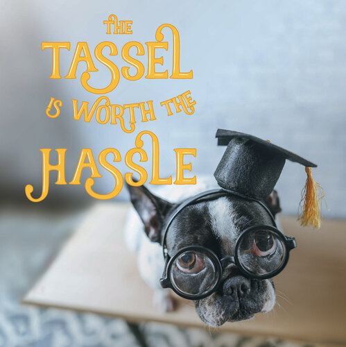 ﻿The Tassel ارزش زحمت را دارد