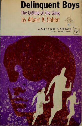 ﻿پسران بزهکار: فرهنگ باند