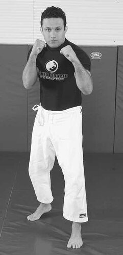 ﻿Mastering Jiujitsu