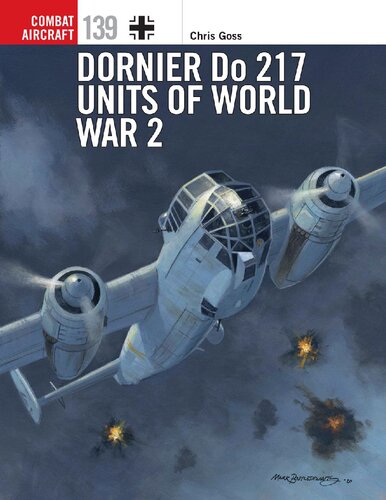 ﻿Dornier Do 217 Units of World War 2
