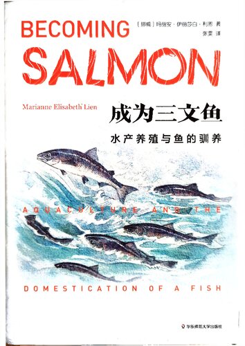 ﻿成为三文鱼: