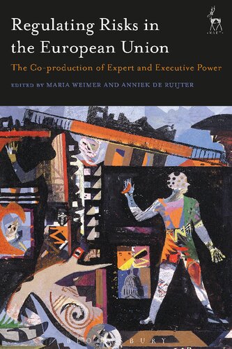 ﻿تنظیم ریسک در اتحادیه اروپا: تولید مشترک نیروی متخصص و اجرایی