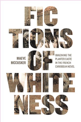 ﻿داستان های سفیدی: تصور کاست پلانتر در رمان فرانسوی کارائیب