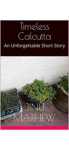 ﻿کلکته بی انتها