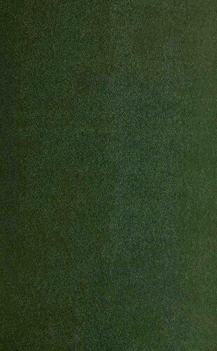 ﻿نویسندگان و شاعران اهل کاستاریکا