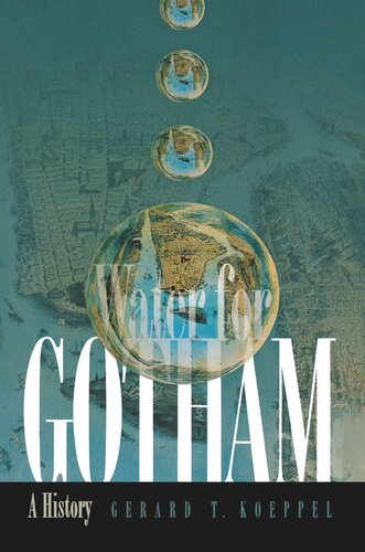 ﻿Water for Gotham: A History
