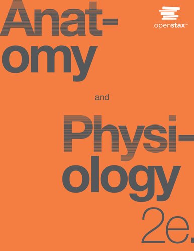 ﻿فیزیولوژی آناتومی 2023 ویرایش دوم 2e
