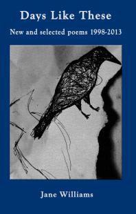﻿روزهایی مانند اینها: شعرهای جدید و منتخب 1998-2013