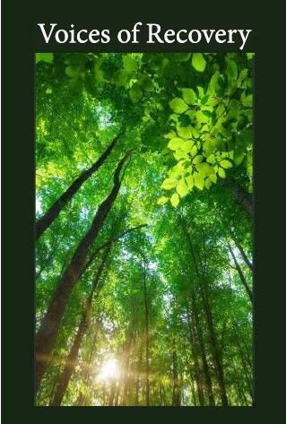 ﻿صداهای ریکاوری