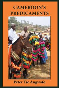 ﻿مشکلات کامرون