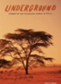 ﻿زیرزمینی: داستان های کلیسای تحت تعقیب در آفریقا