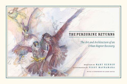 ﻿The Peregrine Returns: The Art and Architecture of an Urban Raptor Recovery