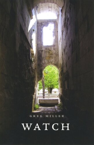 ﻿تماشا کردن