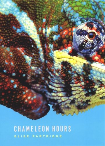 ﻿ساعت آفتاب پرست