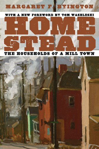 ﻿Homestead: The Households of a Mill Town (نسخه دوم)