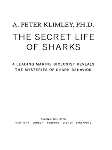 ﻿زندگی مخفی کوسه ها: یک زیست شناس برجسته دریایی اسرار رفتار کوسه ها را فاش می کند