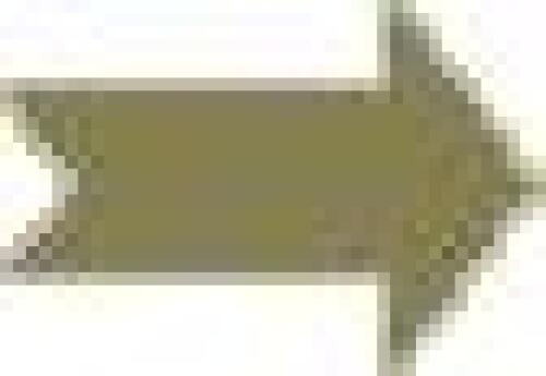 ﻿حیوانات نزدیک ما هستند. (20 Tiere und ein Mensch)