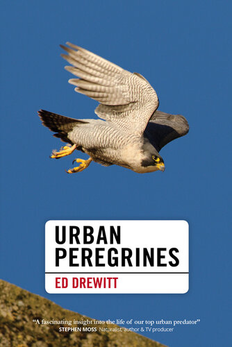 ﻿Peregrines شهری