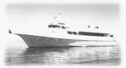 ﻿نجات از گرامپا وو