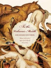 ﻿در دهان آتشفشان