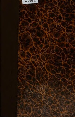 ﻿ماهنامه بالتیک