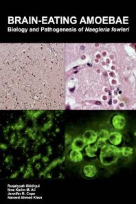 ﻿آمیب مغز خوار: زیست شناسی و پاتوژنز Naegleria fowleri