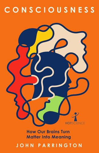 ﻿آگاهی: چگونه مغز ما ماده را به معنا تبدیل می کند