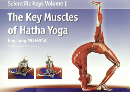 کلید های علمی: عضلات اصلی هاتا یوگا