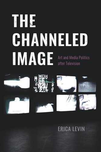 ﻿تصویر کانال: هنر و سیاست رسانه ای پس از تلویزیون