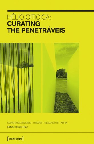 ﻿Hélio Oiticica: Curating the Penetraveis