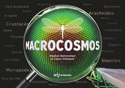 ﻿عکسبرداری