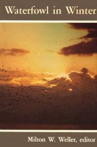 ﻿پرندگان آبزی در زمستان