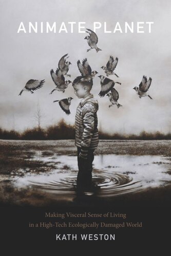 ﻿Animate Planet: ایجاد حس احشایی از زندگی در دنیایی که از نظر زیست محیطی آسیب دیده با فناوری پیشرفته