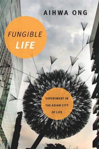 ﻿Fungible Life: آزمایش در شهر زندگی آسیایی