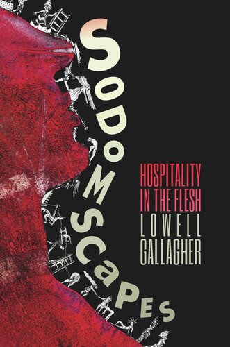 ﻿Sodomscapes: Hospitality in the Flesh