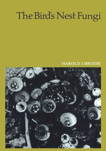 ﻿قارچ لانه پرنده