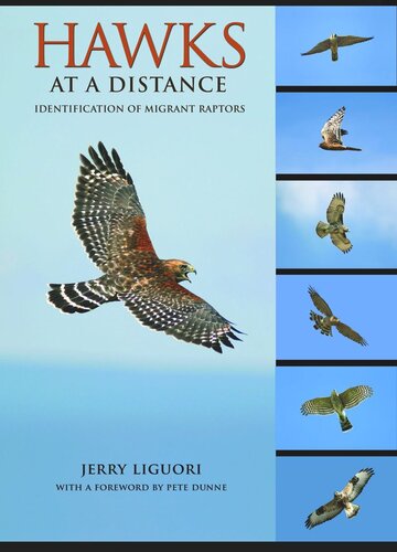 ﻿هاکس در فاصله: شناسایی رپتورهای مهاجر