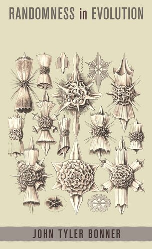 ﻿تصادفی در تکامل