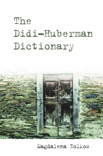 ﻿فرهنگ لغت Didi-Huberman