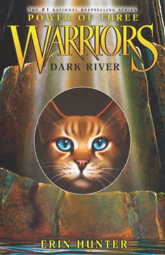 ﻿Dark River (Wariors: Power of Three #2)