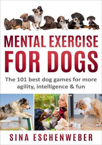 ﻿ورزش ذهنی برای سگ ها