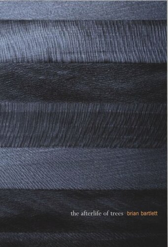 ﻿زندگی پس از مرگ درختان