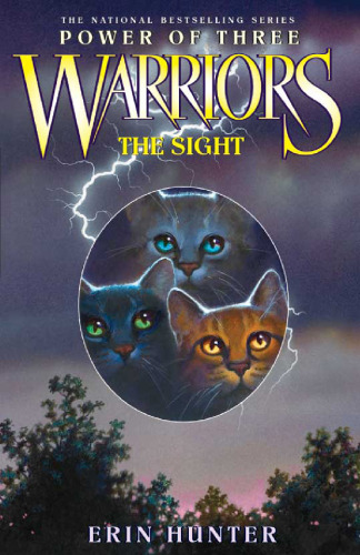 ﻿Warriors: Power of Three #1: The Sight