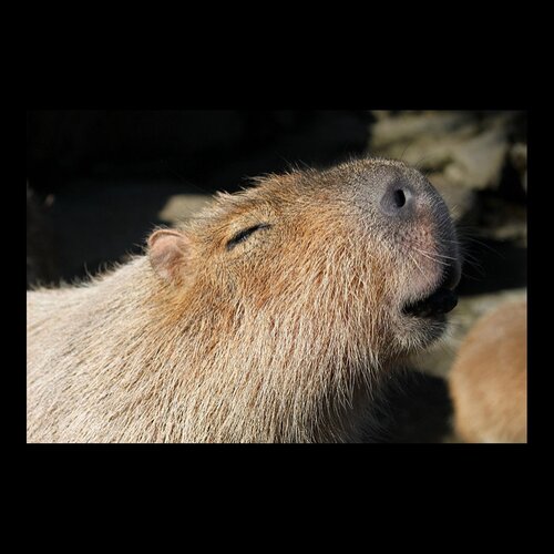 ﻿EPS K23 Mini Jump Starter (نسخه آیمارا، اسلاوی، گوارانی، جاوه ای و مالایی)