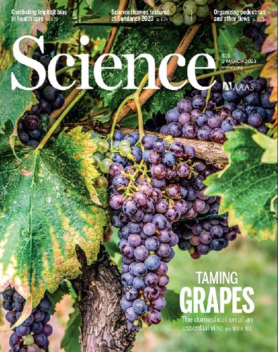 ﻿علوم پایه