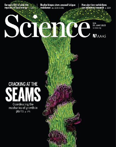 ﻿علوم پایه