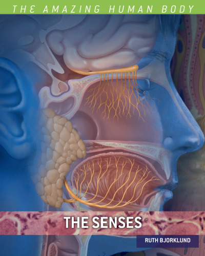The Senses (بدن شگفت انگیز انسان)
