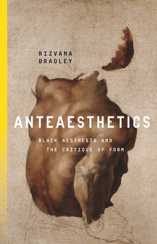 ﻿Anteaesthetics: Black Beesthesis و نقد فرم