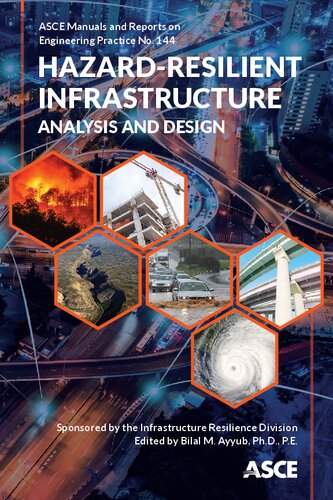 ﻿تجزیه و تحلیل و طراحی زیرساخت های مقاوم در برابر خطر