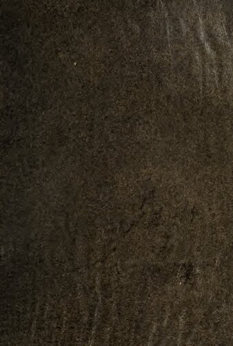 ﻿دایره المعارف هرالدیک و تبارشناسی اسپانیایی-آمریکایی